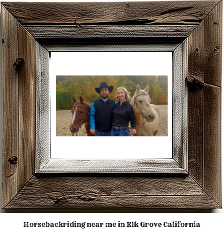 horseback riding near me in Elk Grove, California